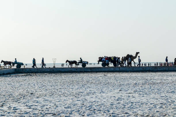 Mandvi Beach, Kutch